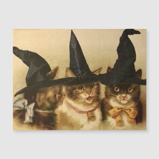 Oude Halloween Zwarte Katten (Voorkant)
