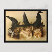 Oude Halloween Zwarte Katten Briefkaart (Voorkant)