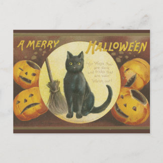 Oude Halloweenansichtkaart met pompoenen en kat Feestdagenkaart