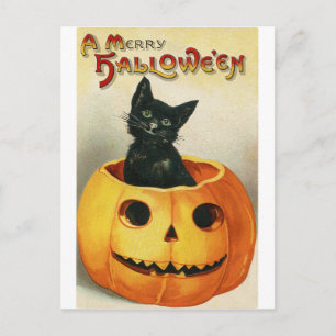 Oude Halloweenkaart   Zwarte kat in pompoen Briefkaart