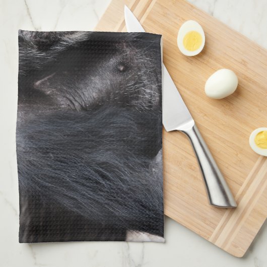 Oude handdoek van Chimpansee (Quarter Fold)