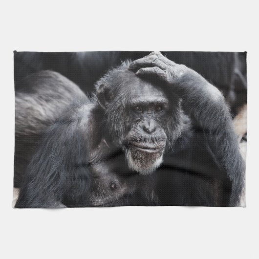 Oude handdoek van Chimpansee (Horizontaal)