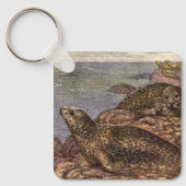 Oude havenrobben, zeedieren oceandieren sleutelhanger (Voorkant)