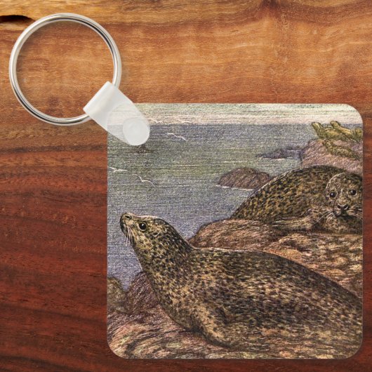 Oude havenrobben, zeedieren oceandieren sleutelhanger (Voorkant)