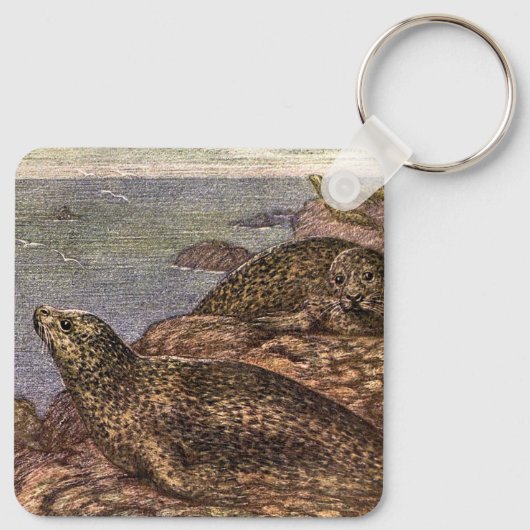 Oude havenrobben, zeedieren oceandieren sleutelhanger (Achterkant)