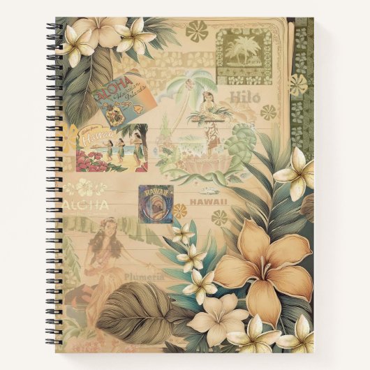 Oude Hawaïaanse plakboek: Hilo Bay Notitieboek (Voorkant)