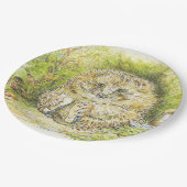 Oude heer Prickly Pin (Hedgel) (door Beatrix Potte Papieren Bordje (Gekanteld)