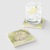 Oude heer Prickly Pin (Hedgel) (door Beatrix Potte Stenen Onderzetter (Zijkant)