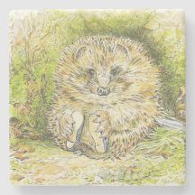 Oude heer Prickly Pin (Hedgel) (door Beatrix Potte
