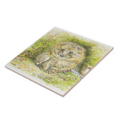 Oude heer Prickly Pin (Hedgel) (door Beatrix Potte Tegeltje (Zijkant)