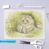 Oude heer Prickly Pin (Hedgel) (door Beatrix Potte Tissuepapier (Craft)