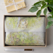 Oude heer Prickly Pin (Hedgel) (door Beatrix Potte Tissuepapier (Geschenk)