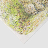 Oude heer Prickly Pin (Hedgel) (door Beatrix Potte Tissuepapier (Detail)