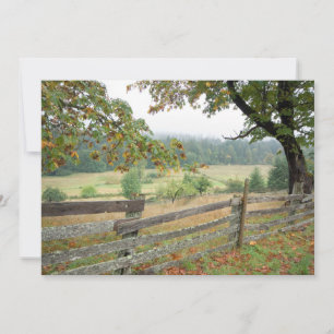 Oude hek op een Boerderij Bedankkaart