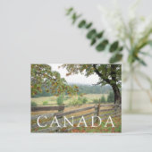 Oude hek op een Boerderij Briefkaart (Staand voorkant)