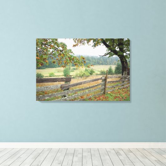 Oude hek op een Boerderij Canvas Afdruk (Insitu (Houten vloer))