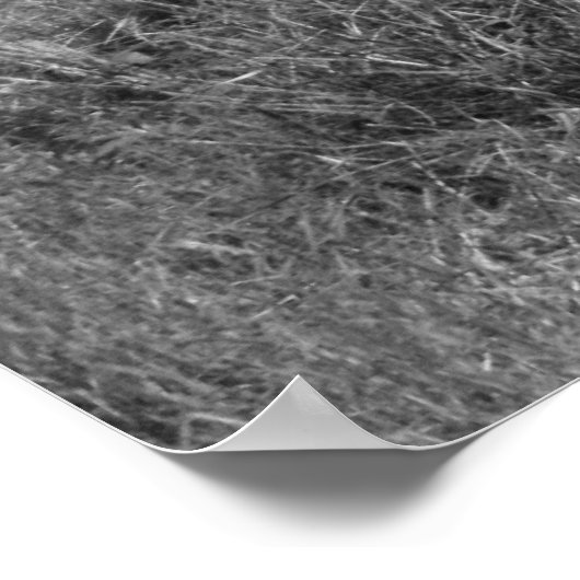 Oude hek poster (Hoek)