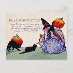Oude heks met pompoenen en zwarte katten,  briefkaart