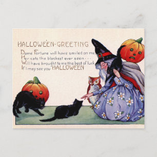 Oude heks Zwarte Kat Uil Halloween Ansichtkaart Briefkaart