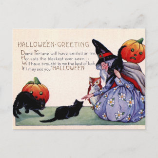 Oude heks Zwarte Kat Uil Halloween Ansichtkaart Briefkaart