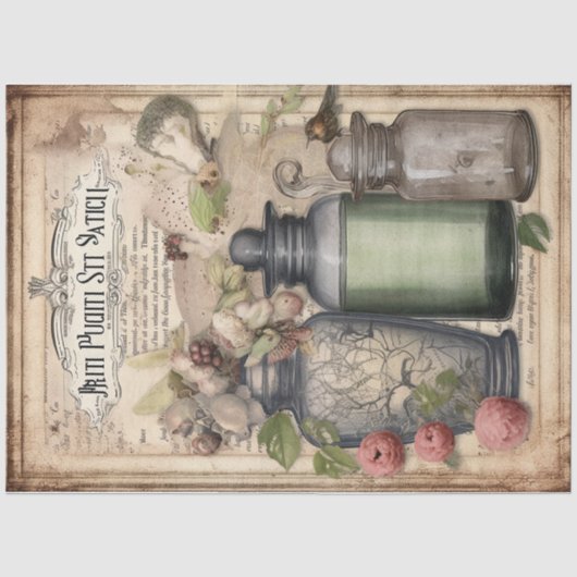 Oude heksenbrouwsel ontwerp serie 11 tissuepapier (Voorkant)