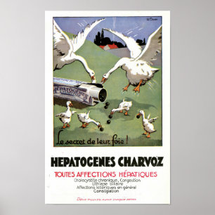 Oude Hepatogenes Charvoz Franse Medische Poster