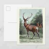 Oude hertenbok in het rood ingekleurd met Seizoens Briefkaart (Voorkant / Achterkant)