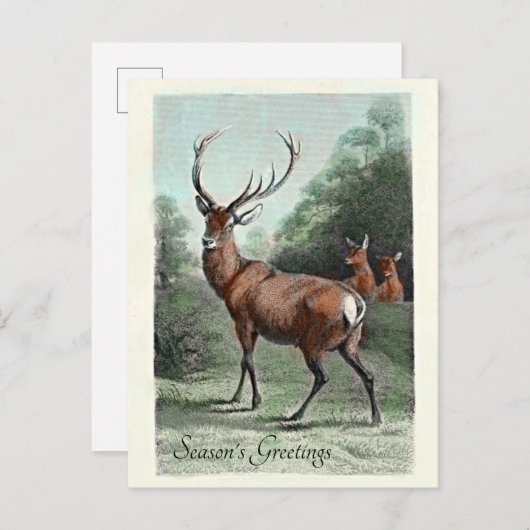 Oude hertenbok in het rood ingekleurd met Seizoens Briefkaart (Voorkant / Achterkant)