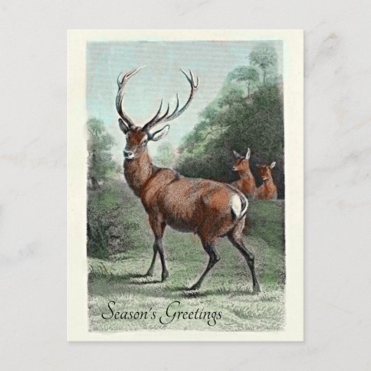 Oude hertenbok in het rood ingekleurd met Seizoens Briefkaart (Voorkant)