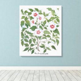Oude Hibiscus Bloemen door Basilius Besler Canvas Afdruk