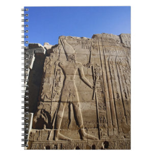 Oude hiërogliefen op muur, Tempel van Karnak, Notitieboek