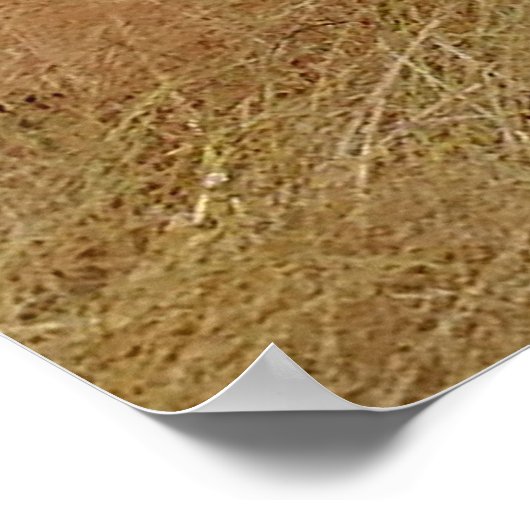 Oude historische woning poster (Hoek)