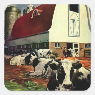 Oude Holstein Melkkoeien op Zuivelboerderij Bedrij Vierkante Sticker
