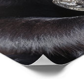 Oude hond, grote medailles, grotere erfenis poster (Hoek)