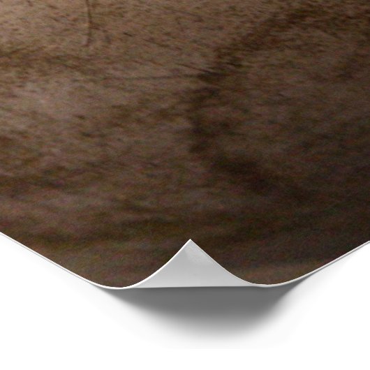 Oude honkbal dicht poster (Hoek)