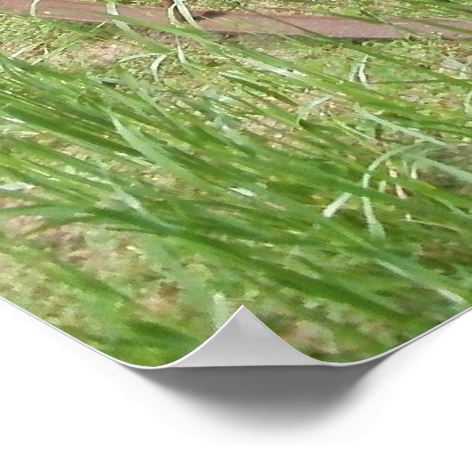 Oude hooivork 2 poster (Hoek)