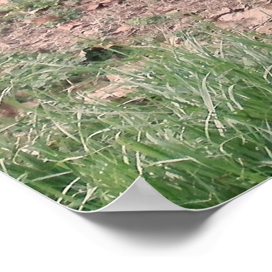 Oude hooivork 3 poster (Hoek)