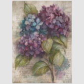 Oude Hortensia Botanische Bloemendecoupage Tissuepapier (Voorkant)