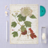 Oude Hortensia Botanische Franse Tekst Decoupage Tissuepapier (Craft)