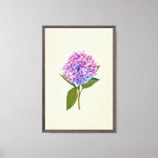 Oude Hortensia Canvas Afdruk (Voorkant)