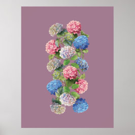 Oude Hortensia Poster