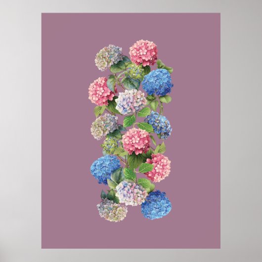 Oude Hortensia Poster (Voorkant)
