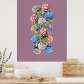 Oude Hortensia Poster (Keuken)