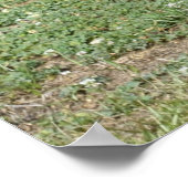 Oude houten buitenkant poster (Hoek)