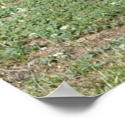 Oude houten buitenkant poster (Hoek)