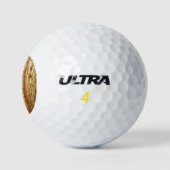 Oude houten deuren golfballen (Logo)