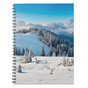 Oude houten textuur of achtergrond met termi notitieboek