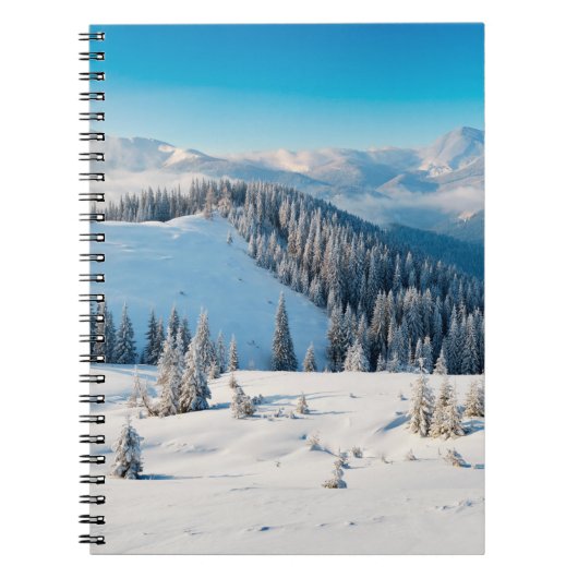 Oude houten textuur of achtergrond met termi notitieboek (Voorkant)