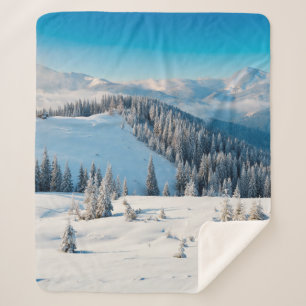 Oude houten textuur of achtergrond met termi sherpa deken