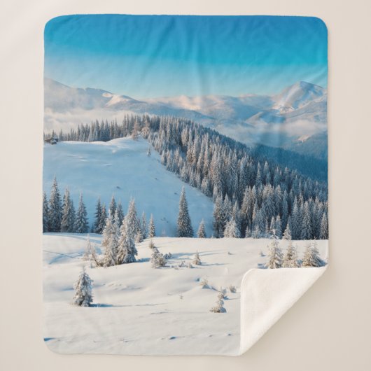 Oude houten textuur of achtergrond met termi sherpa deken (Voorkant)